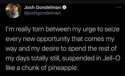 Me wanting to seize every opportunity vs. me wanting to be suspended in Jell-O like a pineapple chunk