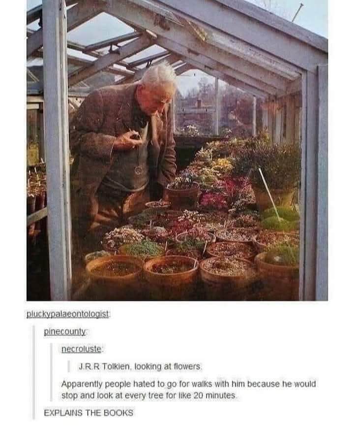 J.R.R. Tolkien appreciating nature, which apparently explains why his books are so descriptive.