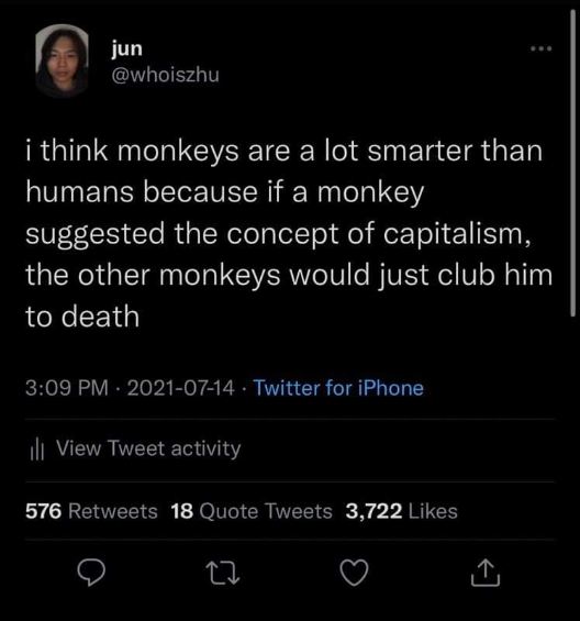 This tweet implies monkeys would literally kill anyone suggesting capitalism. Oof.