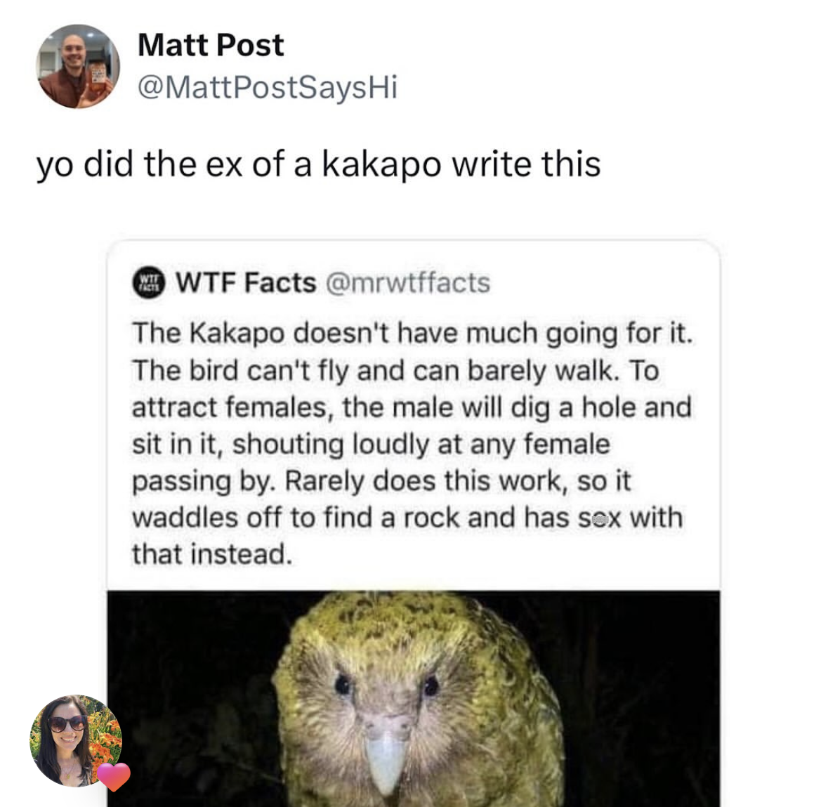 This tweet about kakapos is wild, it sounds like a bitter breakup story.