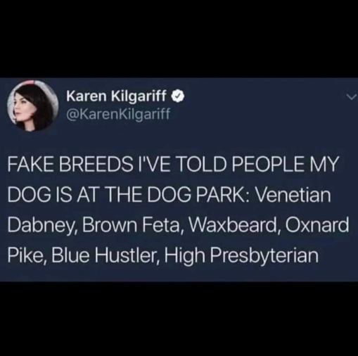 When you're trying to impress people at the dog park with made-up dog breeds