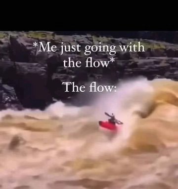 Me: 'I'm just gonna go with the flow.' The flow: