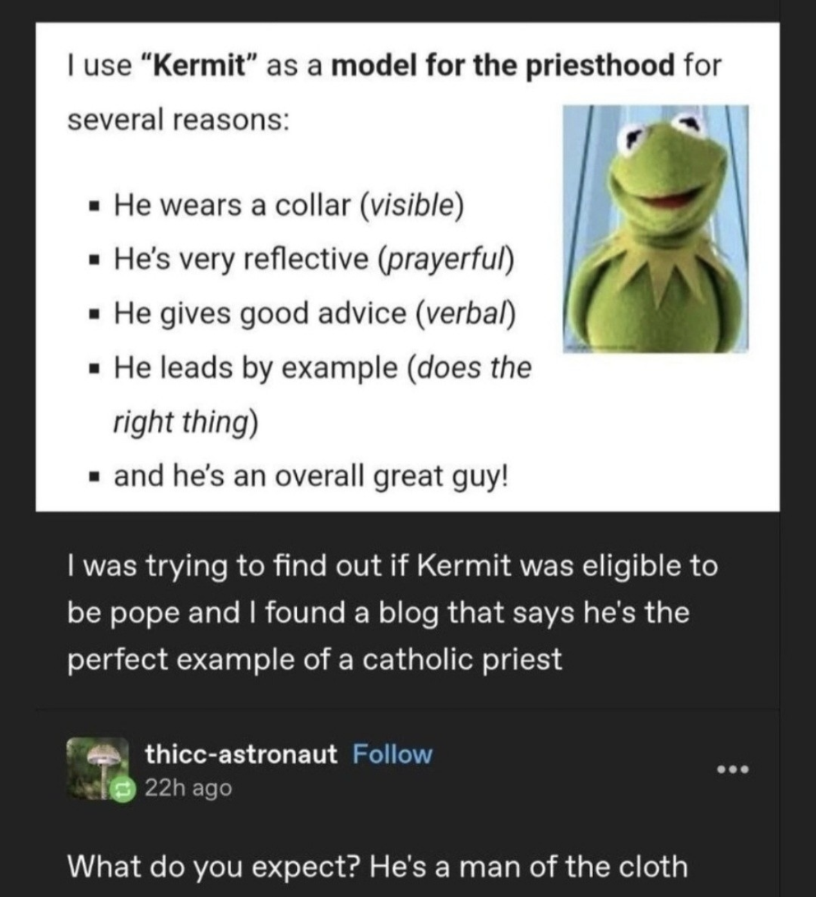 So apparently Kermit the Frog is the perfect example of a priest because he wears a collar and gives good advice? lol