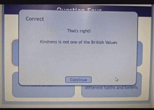 Wait, so they're saying kindness isn't a British value...oof.