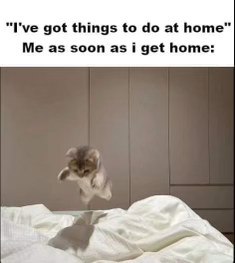 Me running away from all my responsibilities the second I get home.