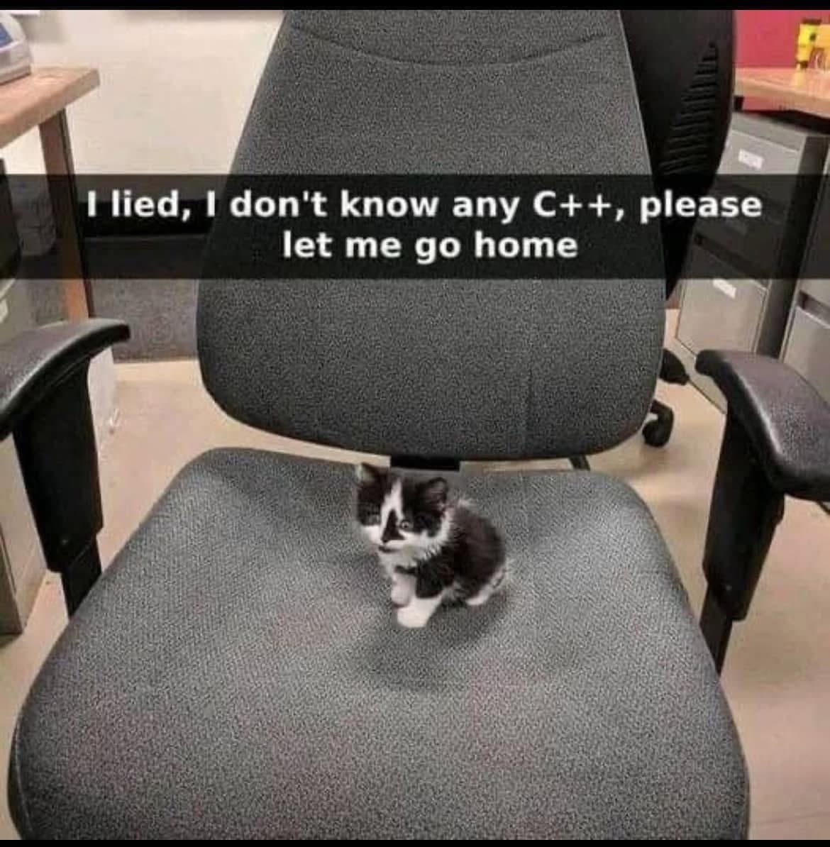 When you say you can code in C++ but you actually can't and you just want to go home