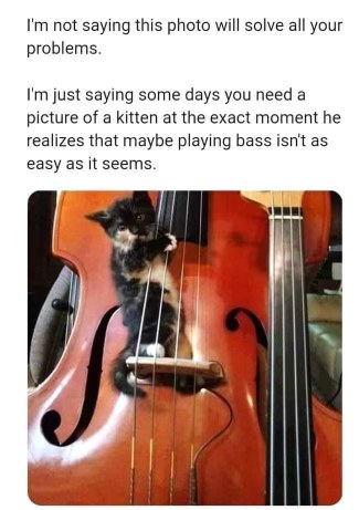Me, realizing that maybe my dreams of becoming a bass virtuoso were a little ambitious.