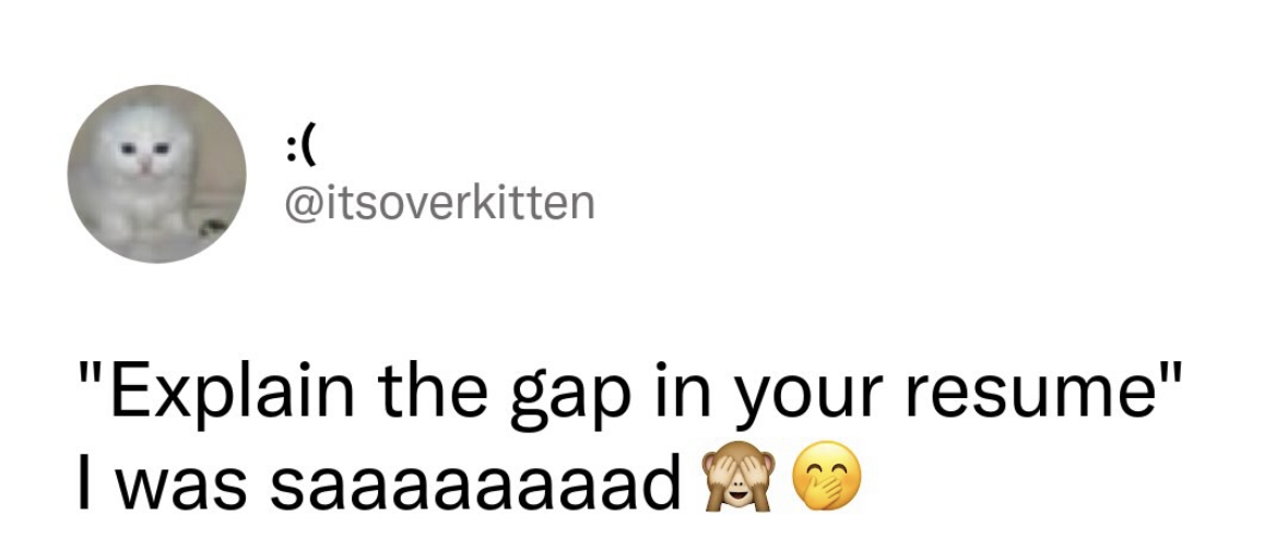 My resume gap explanation is 'I was sad' with cover-up emojis lol