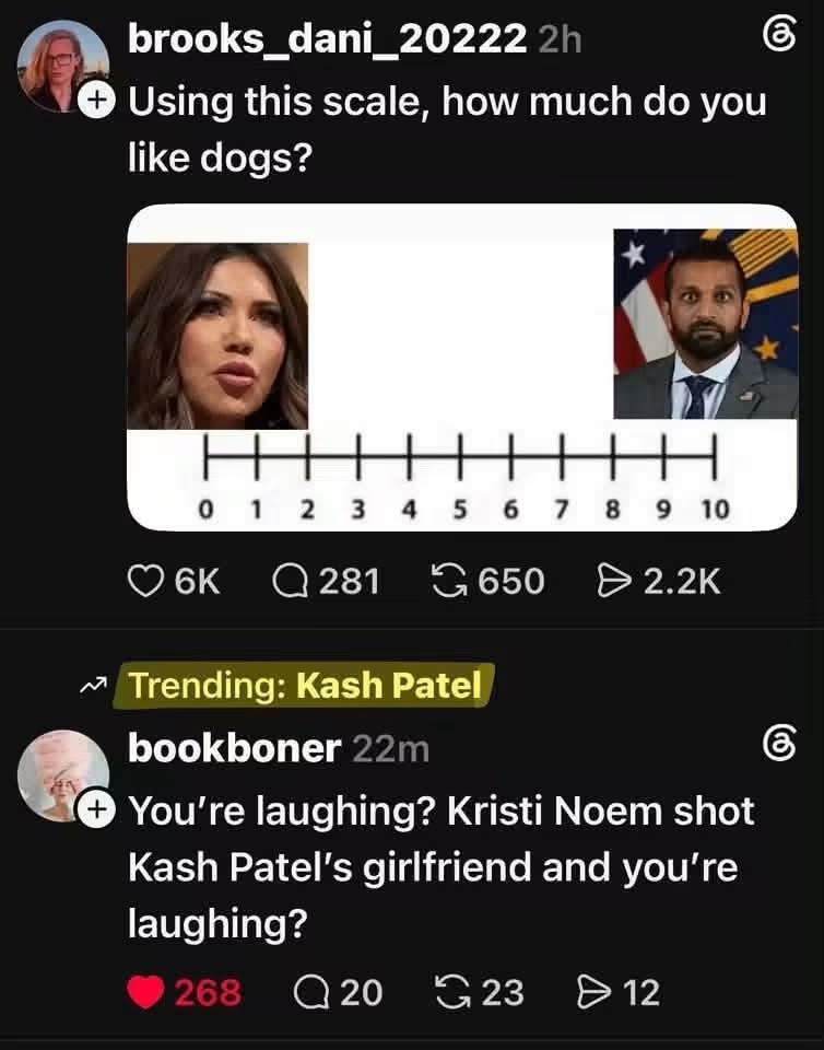This scale is wild. Like, apparently Kristi Noem shooting Kash Patel's girlfriend is a 10/10 on the dog scale?