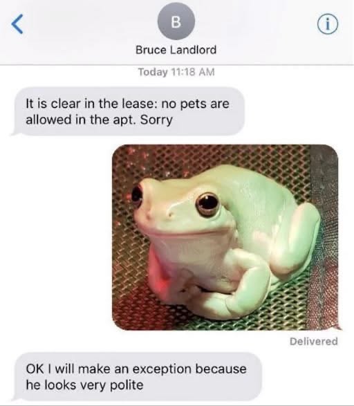 My landlord bending the rules for my polite frog.