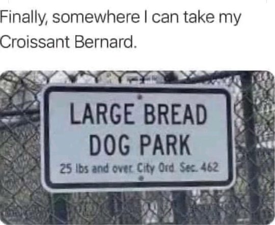 Finally I can take my Croissant Bernard to the large bread dog park