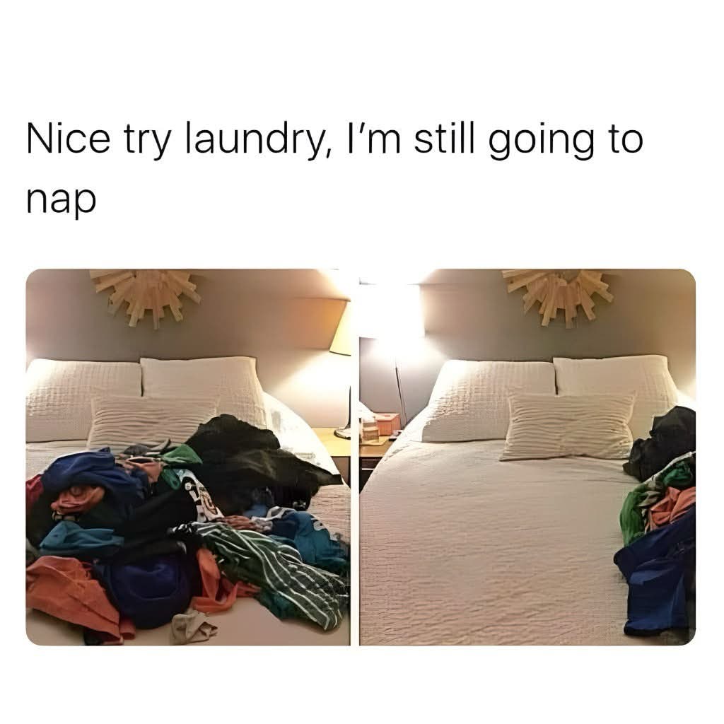 Laundry pile is doing its best but the nap is more important