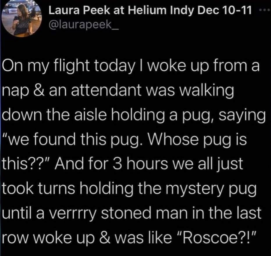 So basically everyone on this flight was babysitting a pug for three hours until this super stoned dude woke up and recognized it.