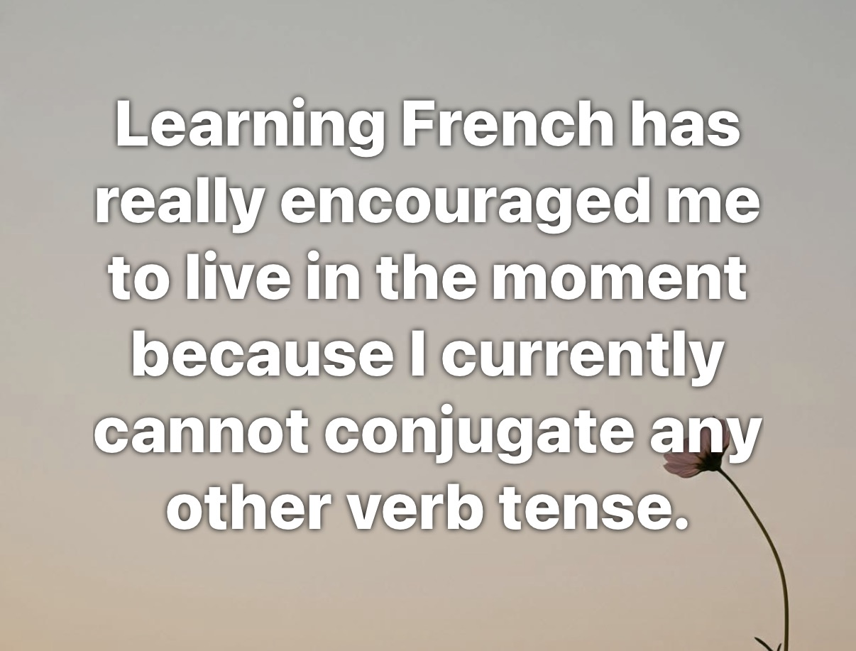 Me learning French and only being able to use present tense lol