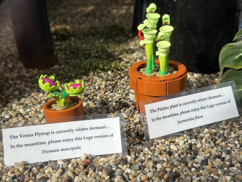 When the real plants are sleeping but you still gotta serve looks with LEGO.