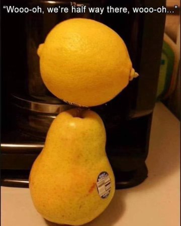 Me singing Bon Jovi while balancing fruit on my coffee maker