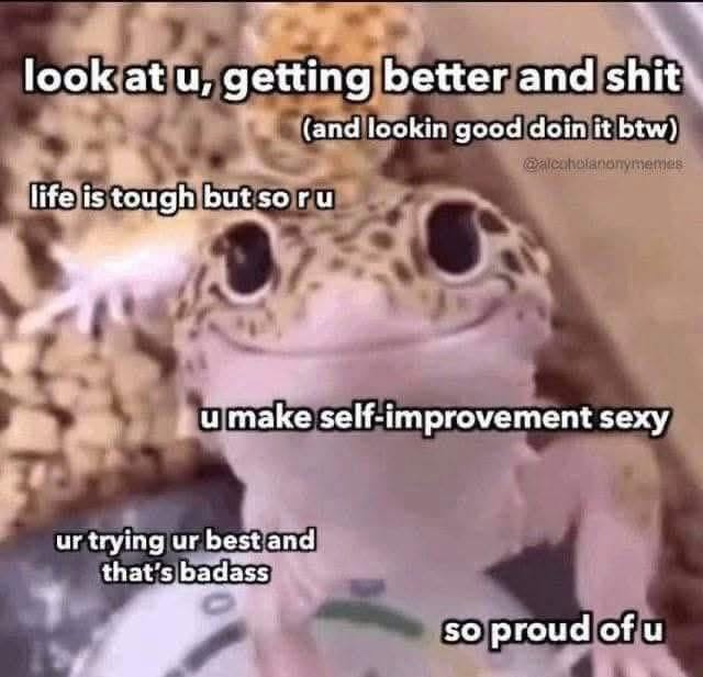 This cute gecko is giving me a pep talk and low-key making self-improvement look hot