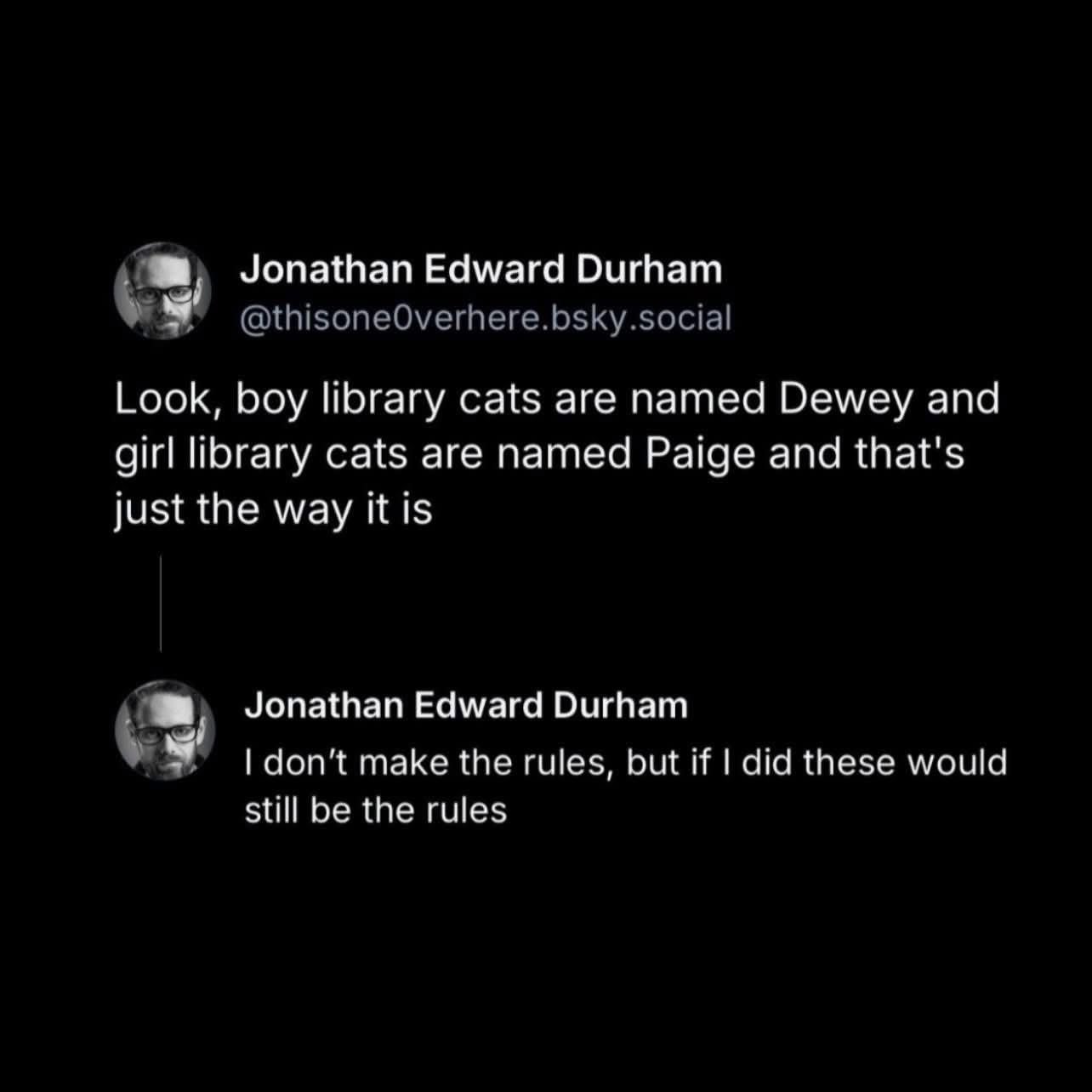 Apparently boy library cats are Dewey and girl library cats are Paige. And if it were up to him, it would stay that way.