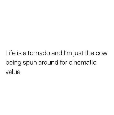 Pretty much sums up my life, just a cow getting tossed around for drama.
