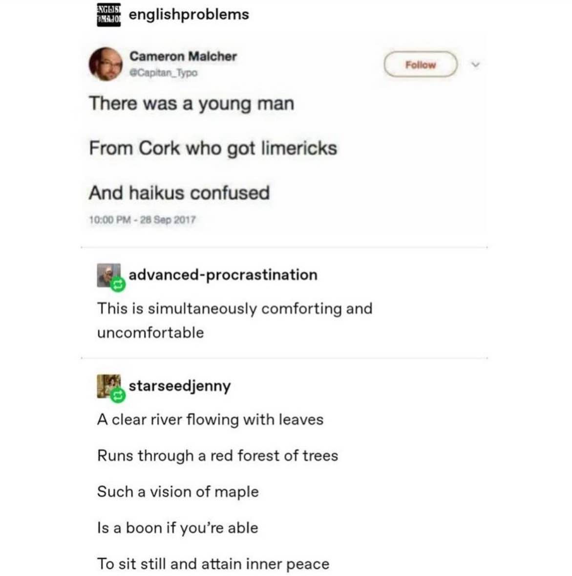 This person tried to write a haiku but ended up writing a limerick poem, and the replies are even funnier