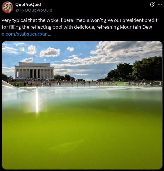 When they fill the reflecting pool with Mountain Dew instead of water and everyone's acting like it's normal