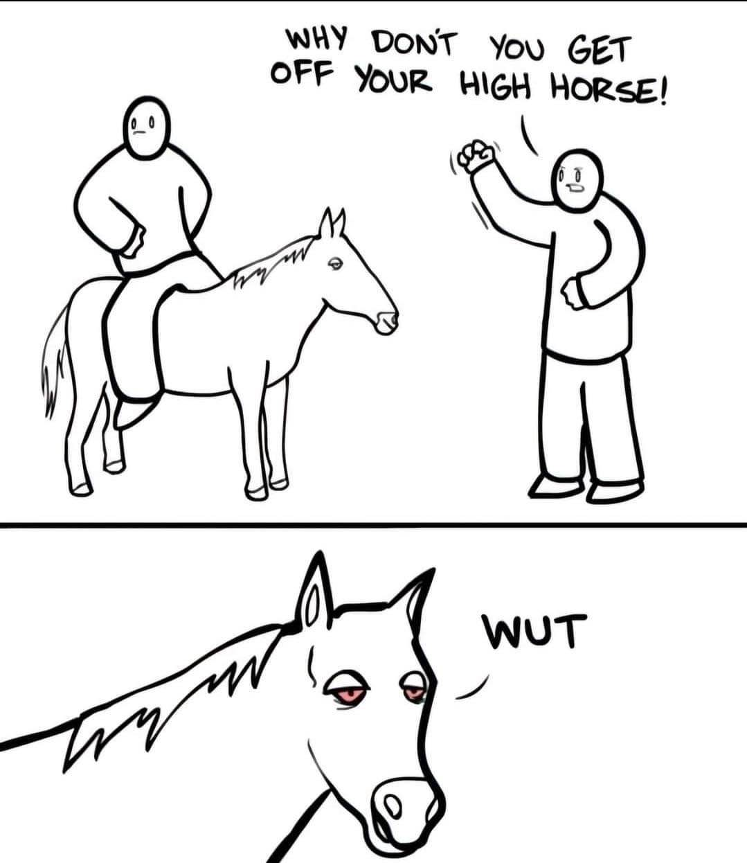 When someone tells you to get off your high horse, but you're literally on a horse