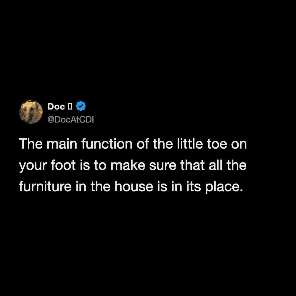 My little toe's real purpose is to remind me where all the furniture is in the dark.