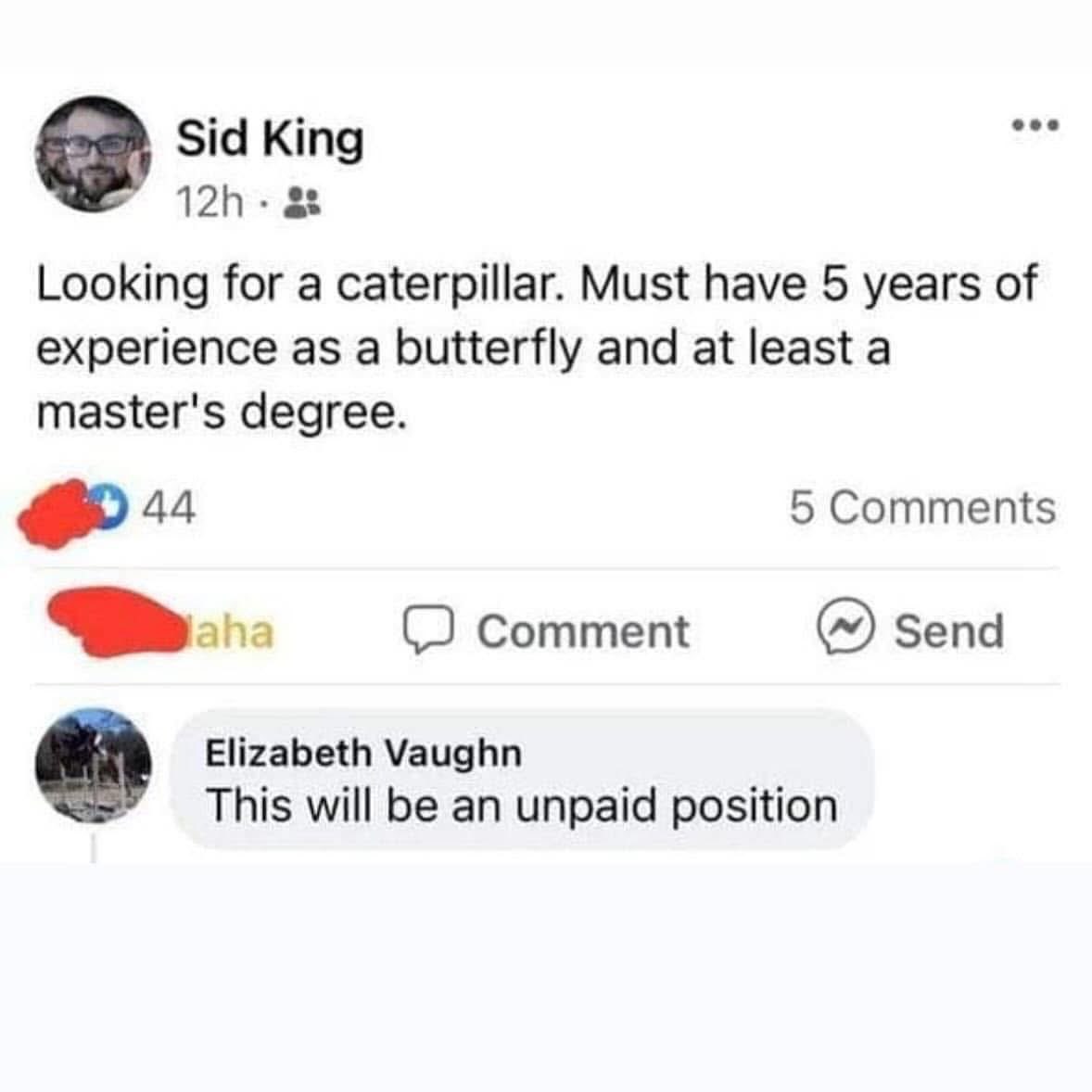 This dude is looking for a caterpillar with a master's degree and 5 years of butterfly experience. Of course, it's unpaid.