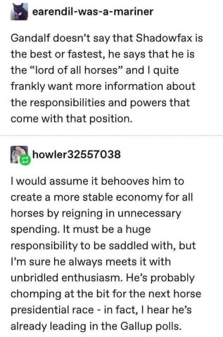 lmao someone made up a whole political platform for the lord of all horses