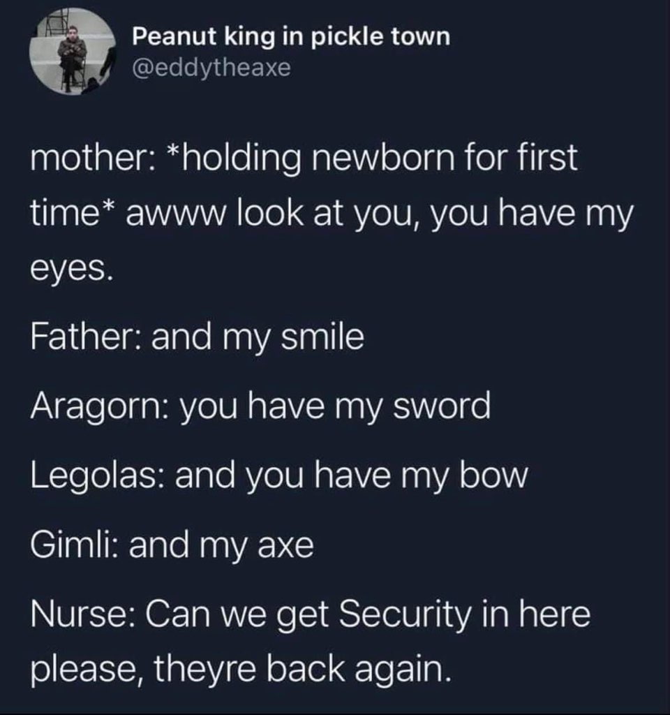 Parents introducing their baby to the Fellowship of the Ring, but the nurse is not having it.