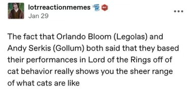 Wait, both Legolas and Gollum were based on cat behavior? That's wild.