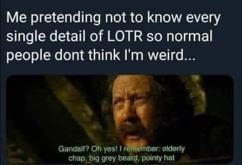 When you try to play it cool about LOTR but can only remember Gandalf's look