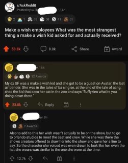 When your make-a-wish dream is cooler than your actual life goals.