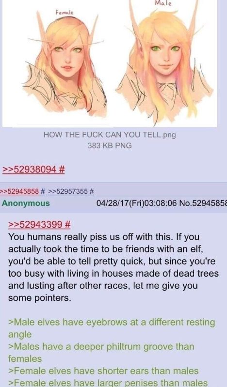 When you can't tell the difference between male and female elves, and an anon gives you very specific, questionable advice