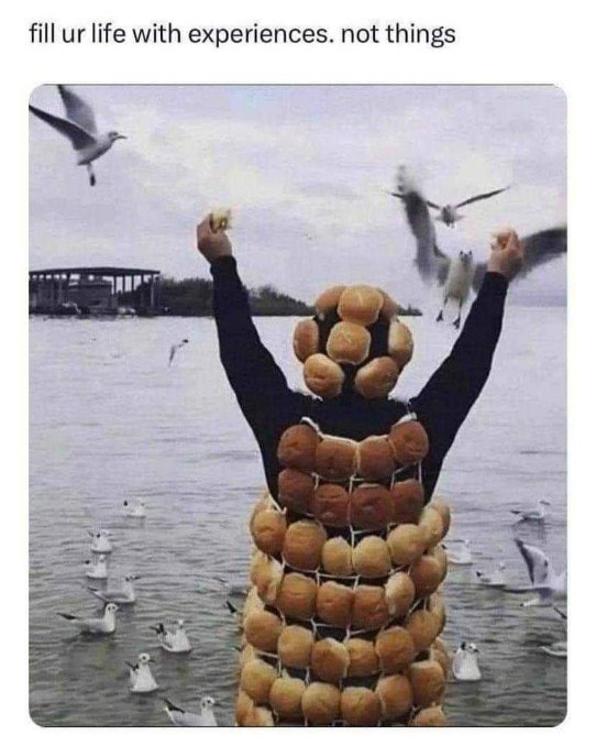 When you try to live by the 'experiences not things' motto but end up attracting unwanted attention.
