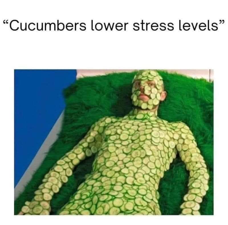 When you try to lower your stress levels and end up covered in cucumbers
