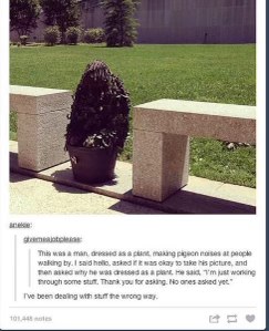 This dude dressed as a plant making pigeon noises is my spirit animal for dealing with my problems.