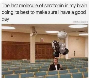 My single molecule of serotonin trying to carry my entire mood for the day like...