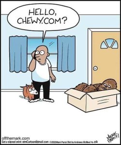 When you order something online and mistake the delivery for your dog's new friend