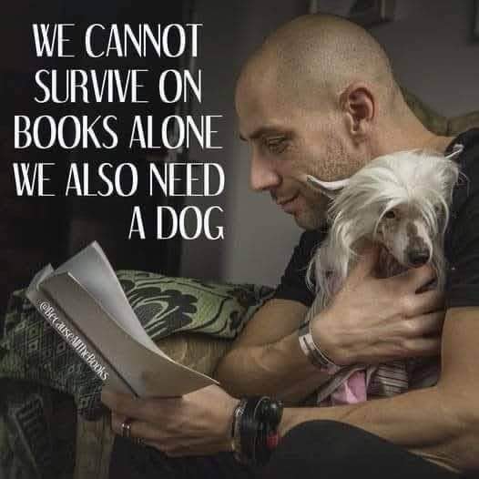Yeah, reading is cool and all but have you ever considered a dog?