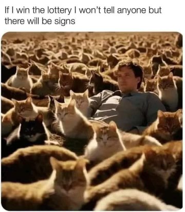 When you win the lottery and *immediately* become the cat lady the universe always knew you were.