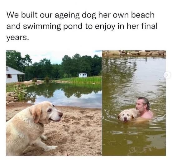 Me getting the luxury experience my dog was supposed to have