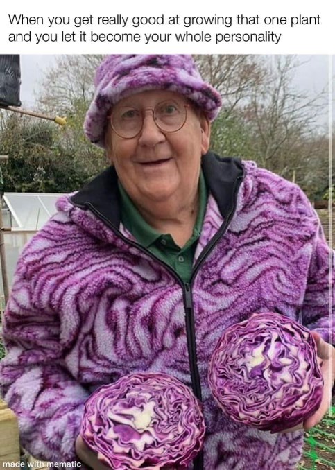 Someone's really leaning into their red cabbage era