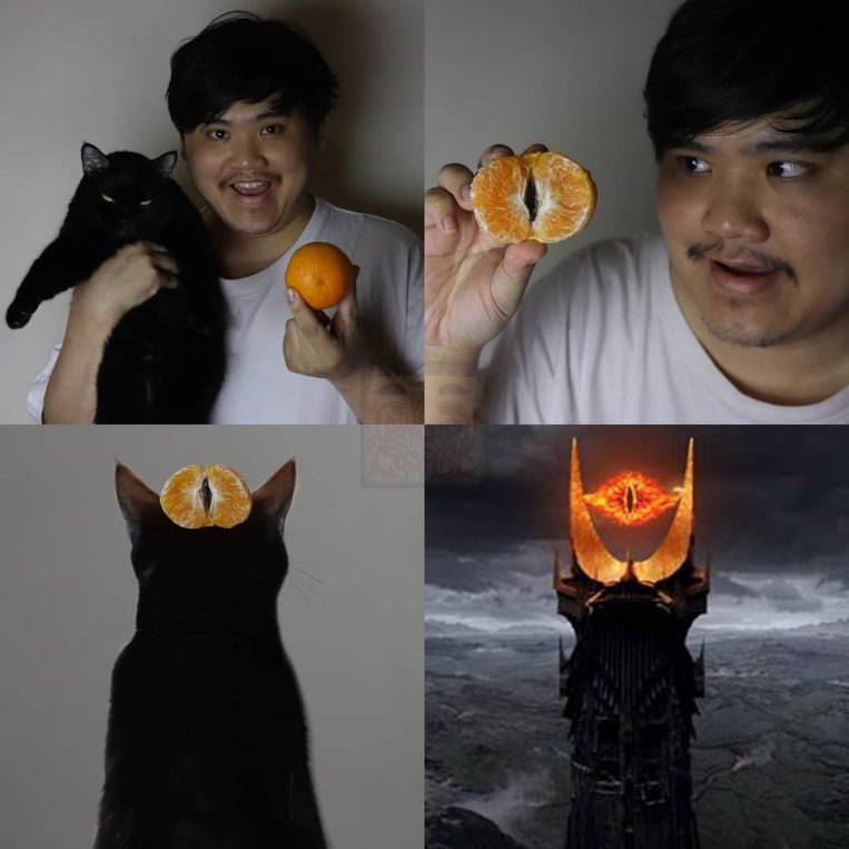 He made the cat look like Sauron, but with a clementine. Why?