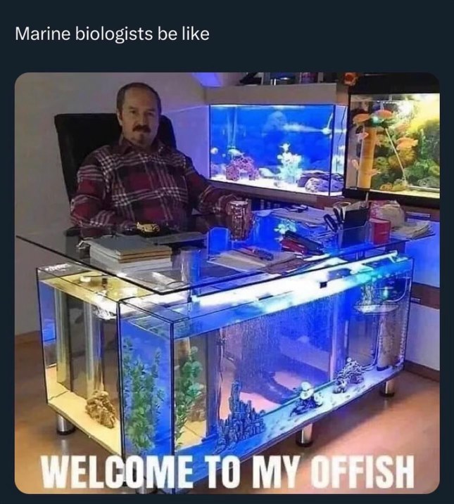 Marine biologists be like 'welcome to my offish'