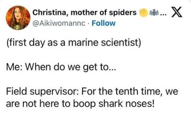My dreams of booping shark noses vs. the reality of being a marine scientist lol