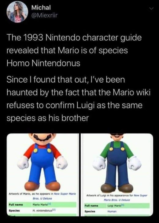 So Mario is Homo Nintendonus but Luigi is just human? Big yikes Nintendo