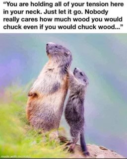 When someone tries to give you unsolicited advice to relax, but it just makes you more tense.