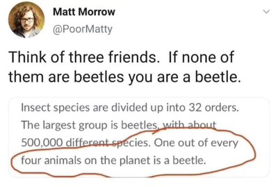 When you find out you're actually a beetle because none of your friends are