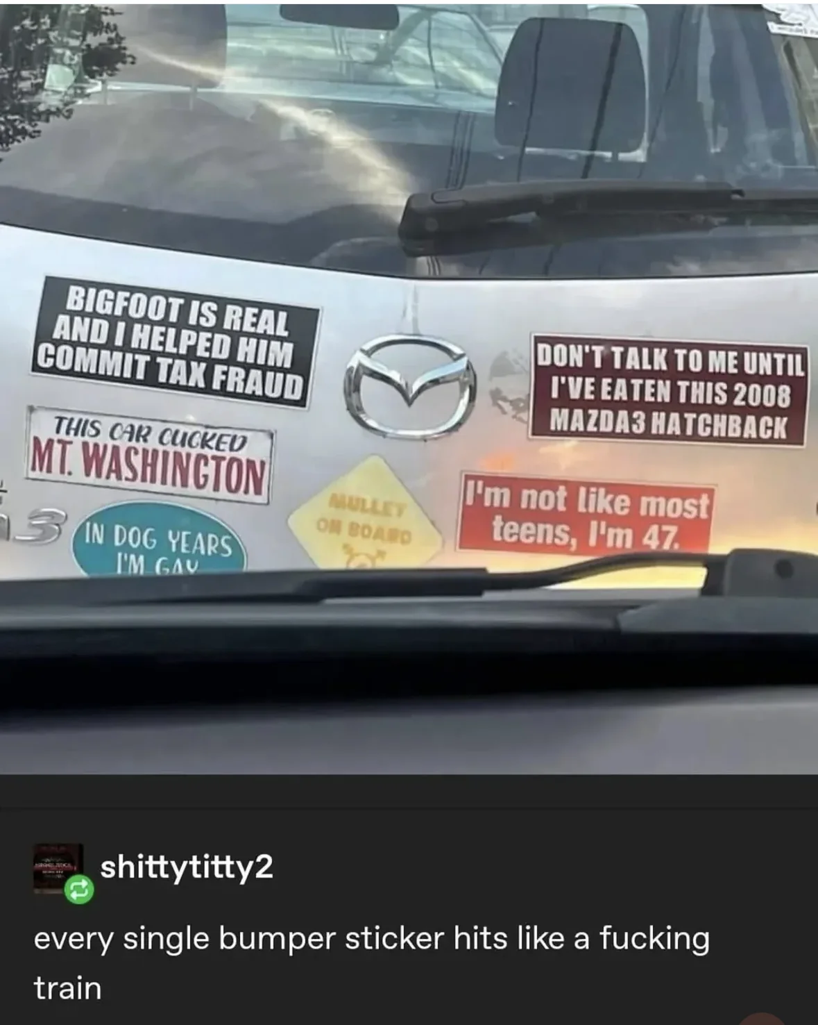 This car owner has the most chaotic collection of bumper stickers I've ever seen.